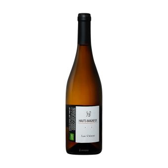 Vin De France Les Chênes Sauvignon 2021 - Domaine des Hauts-Baigneux