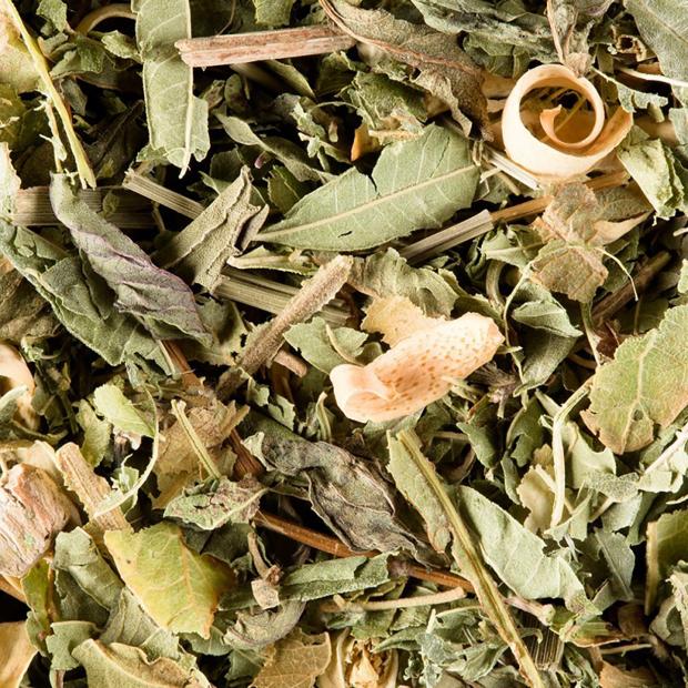 Dammann Frères - Tisane Menthe Poivree, 25 sachets de thé - Infusion  d'herbes