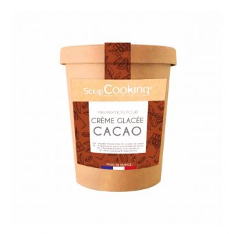 Préparation pour crème glacée cacao 185g - Scrapcooking