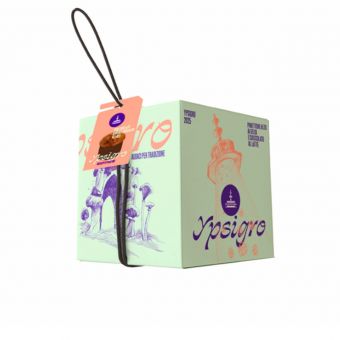 Panettone mure chocolat 750g - Fiasconaro