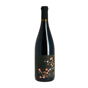 Chinon rouge la singulière 2018 - Domaine Olga Raffault