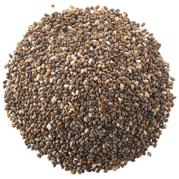 Graine de chia