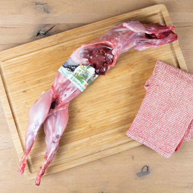 LAPIN