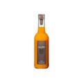 NECTAR D'ABRICOT BERG. 33 CL