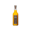 NECTAR DE MANGUE 33 CL