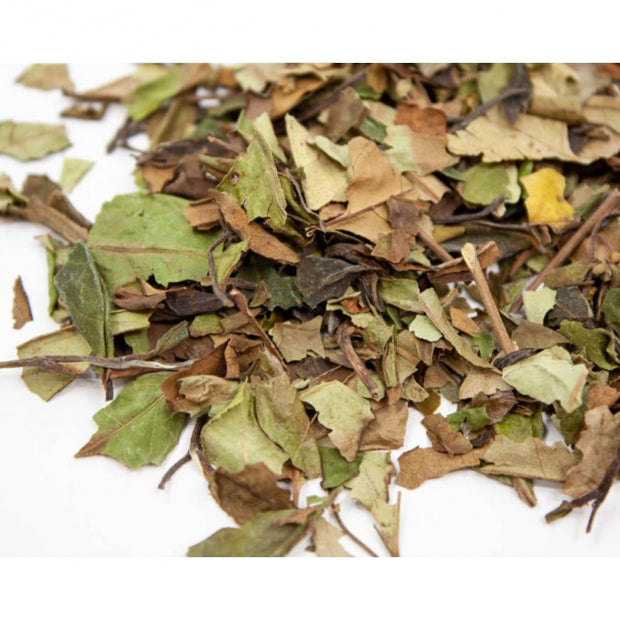 Thé blanc pai mu tan en vrac 50g - Le Dauphin
