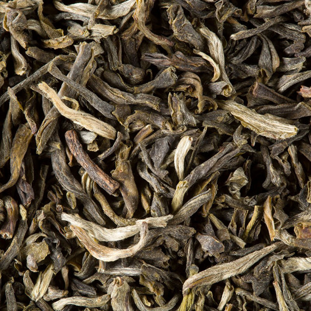THE YUNNAN N°12 DAMMANN