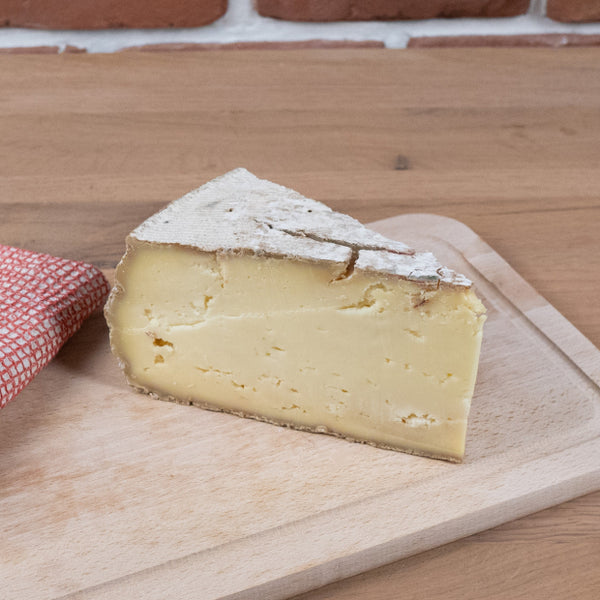 TOMME DE MONTAGNE