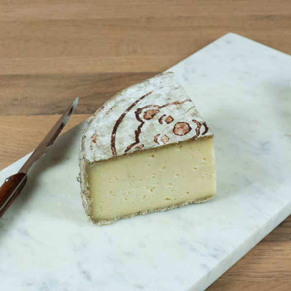 TOMME OURS